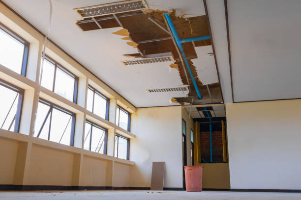 Best Water damage restoration process  in Farmington, MN