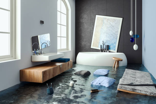 Best Water damage restoration process  in Farmington, MN