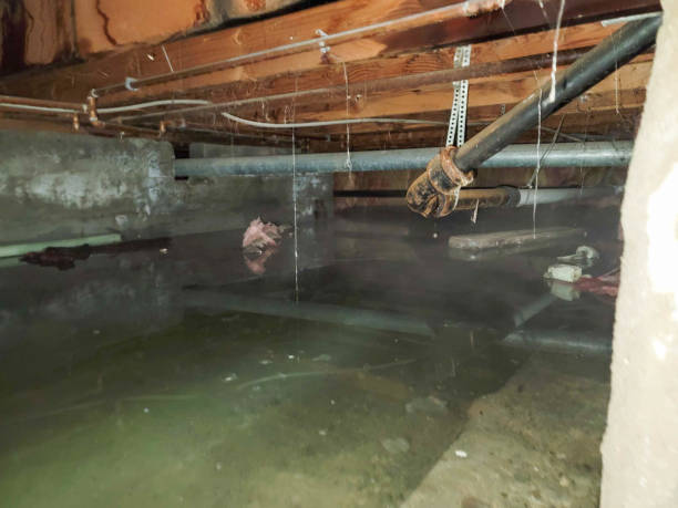 Best Commercial water damage restoration  in Farmington, MN