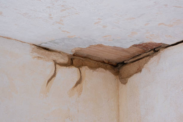 Best 24-hour water damage restoration  in Farmington, MN