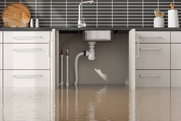 Water damage restoration process in Farmington, MN