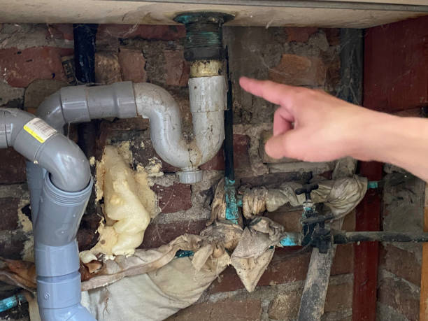 Best Water damage contractors near me  in Farmington, MN