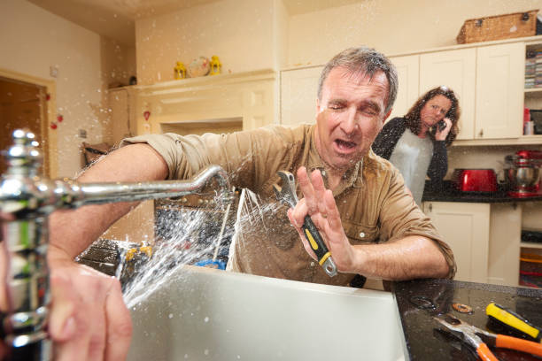 Best Water damage restoration near me  in Farmington, MN